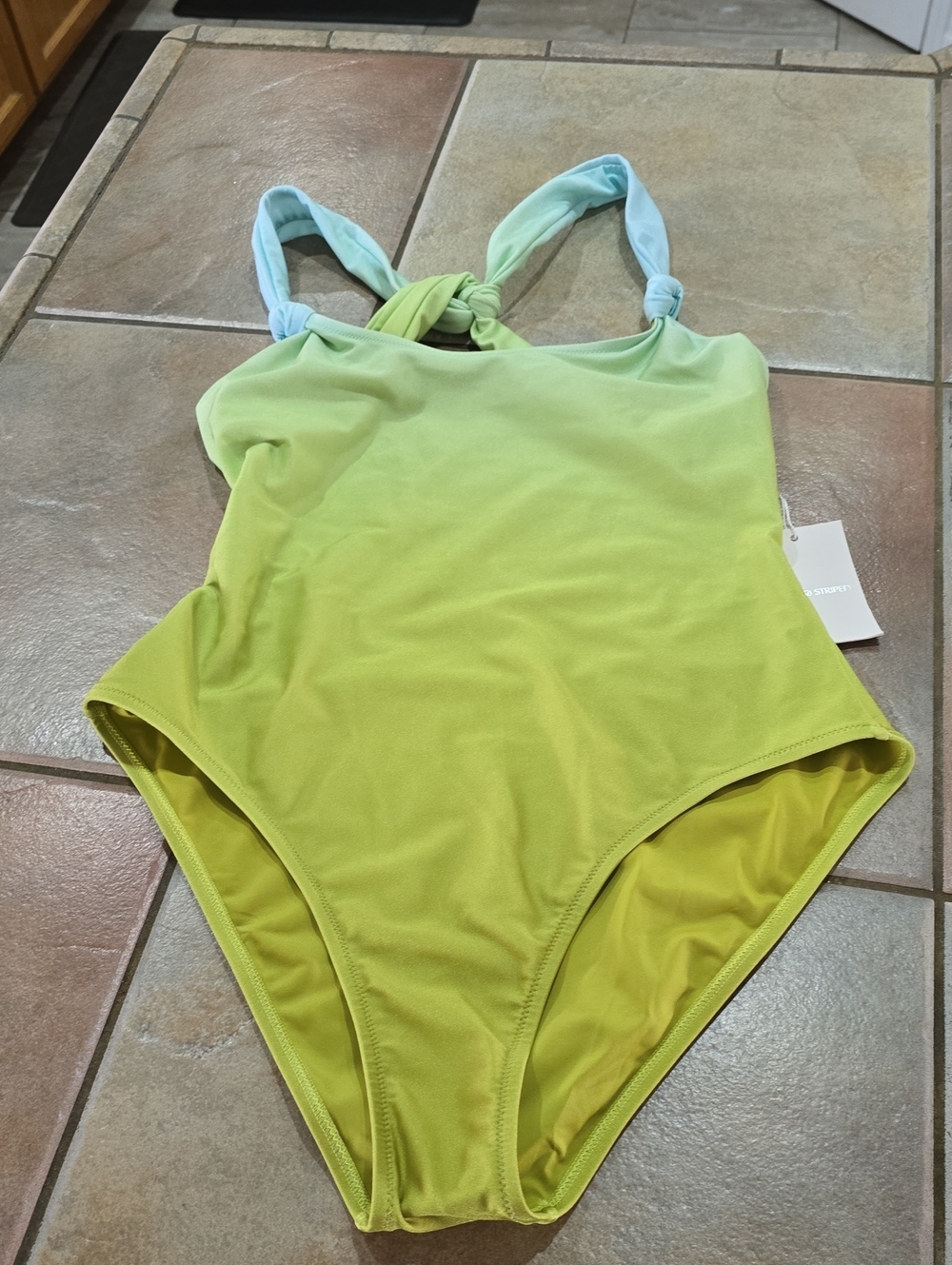 Solid And Striped Lime to Aqua Ombre One-Piece Swimsuit Sz Lg Nwt